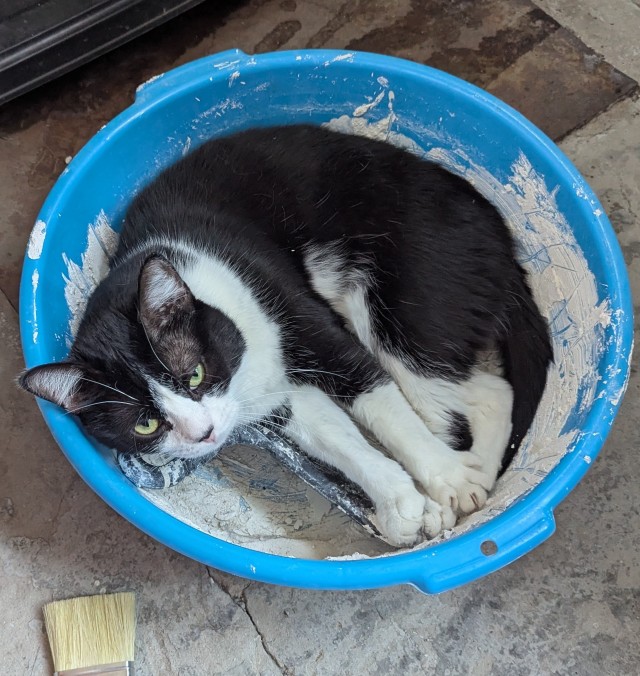 Тазик наше всё