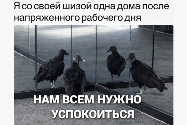 Субботние картинки