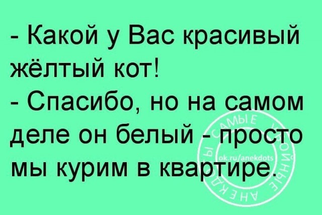 Розовоносый трубочист (котовторник)
