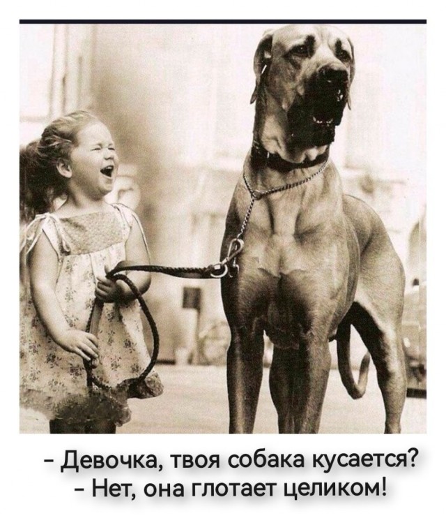 Картинки для деградации 242 (разной степени свежести)