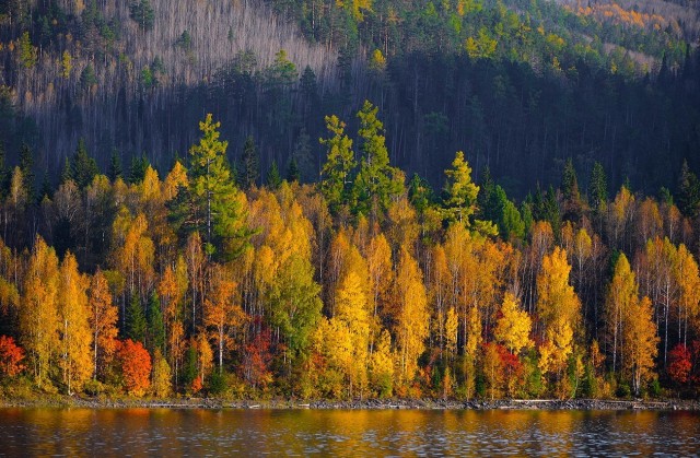 Осень в тайге