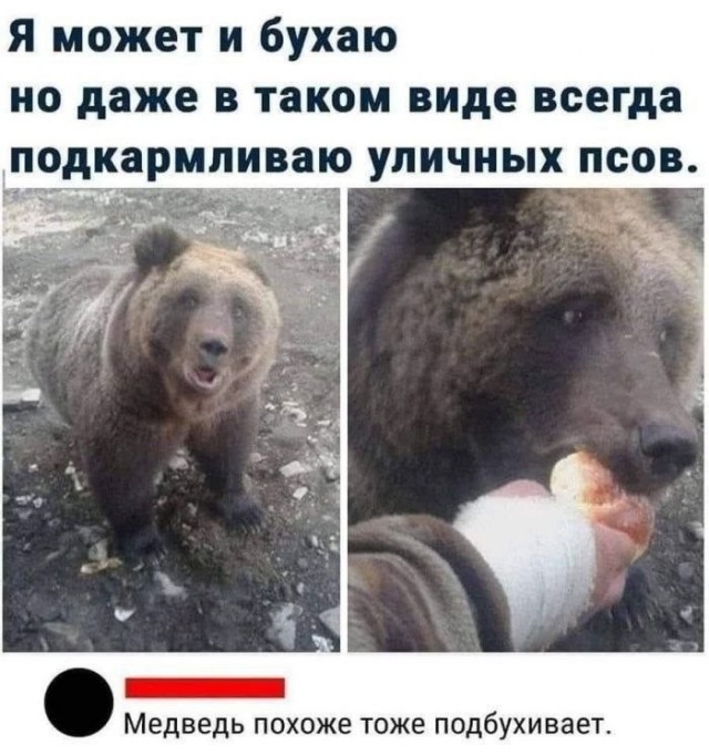 Картинки для деградации 280 (разной степени свежести)