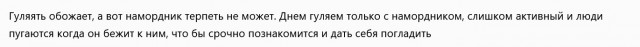 Собакочетверг же