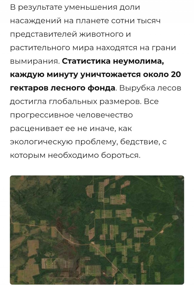 В Приангарье медведь пытался пробраться в школьную столовую по трубе