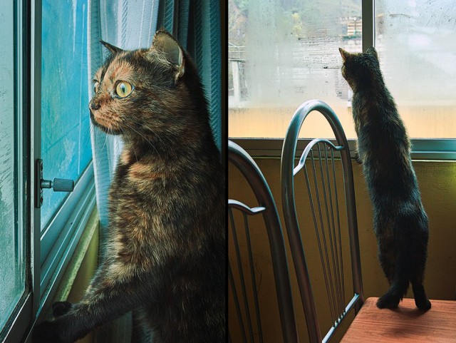 Эквадор