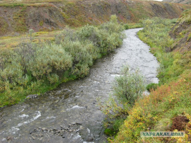 Камчатка