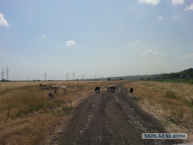 Как провести день, или сказка наяву!