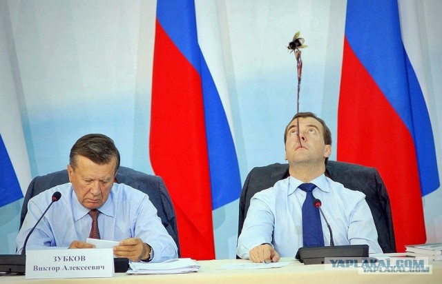 Какие нах санкции, у меня тут шмель!