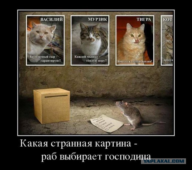 Подборка демотиваторов