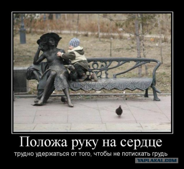 Весёлое из сети