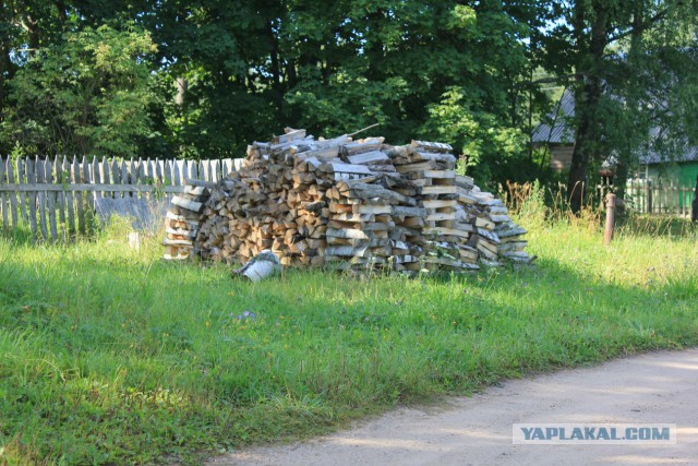 Село Борисоглебское