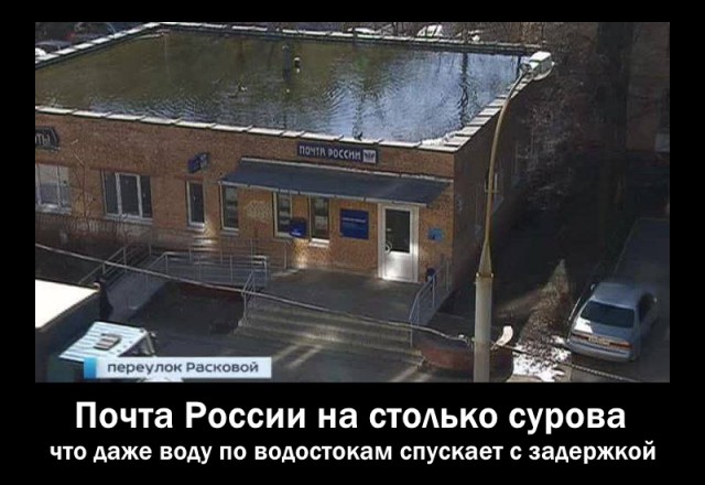 На крыше почты в Москве появилось озеро с утками