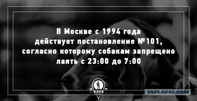 Любопытные факты о России