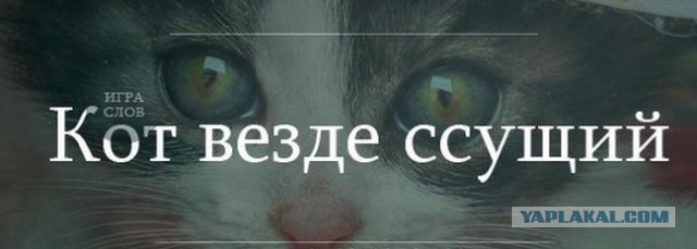 Просто картинки