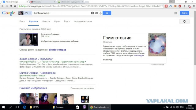 Подруга спалилась. На внимательность.