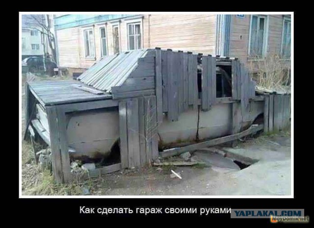 Позитив на воскресенье