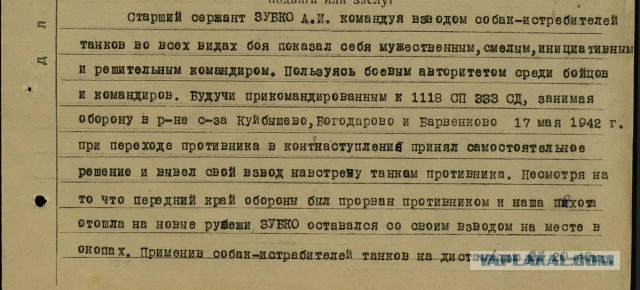 Они тоже сражались за Родину.