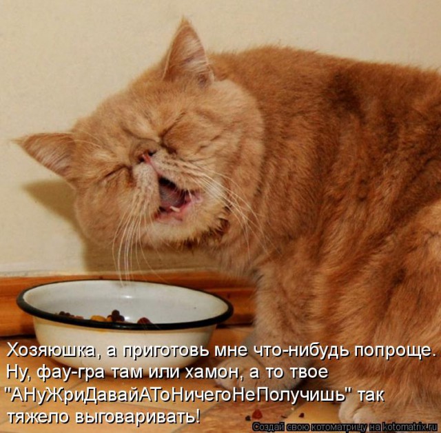Весёлые картинки
