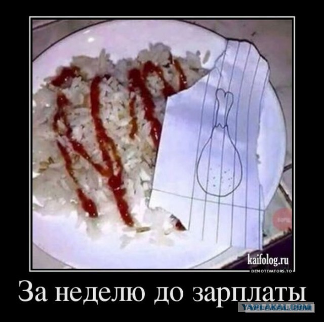 У нас доход небольшой, но почти на все хватает