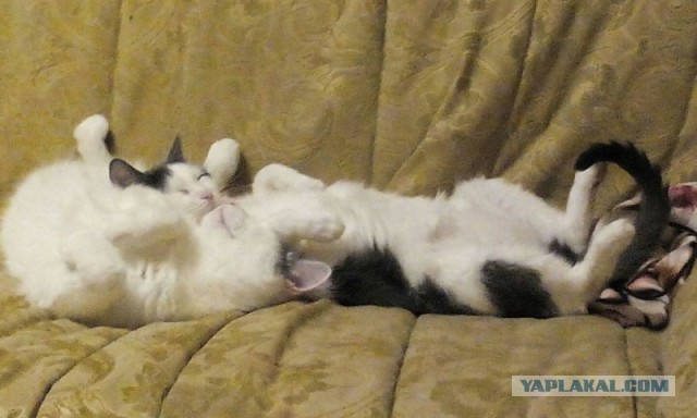 Те, которым мы помогли.