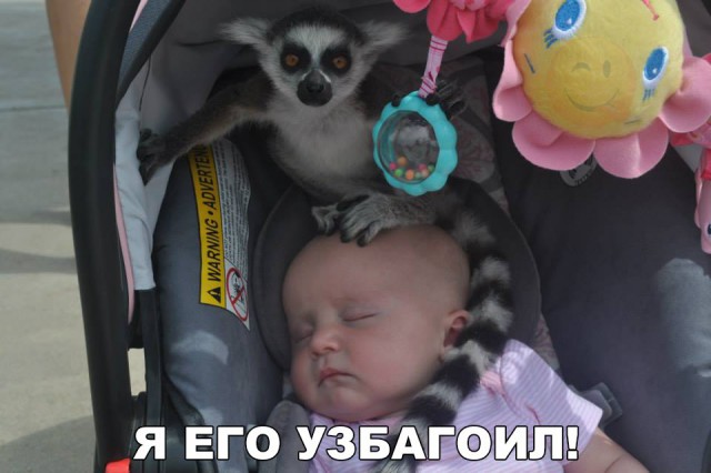 Небольшая подборка разного из сети.