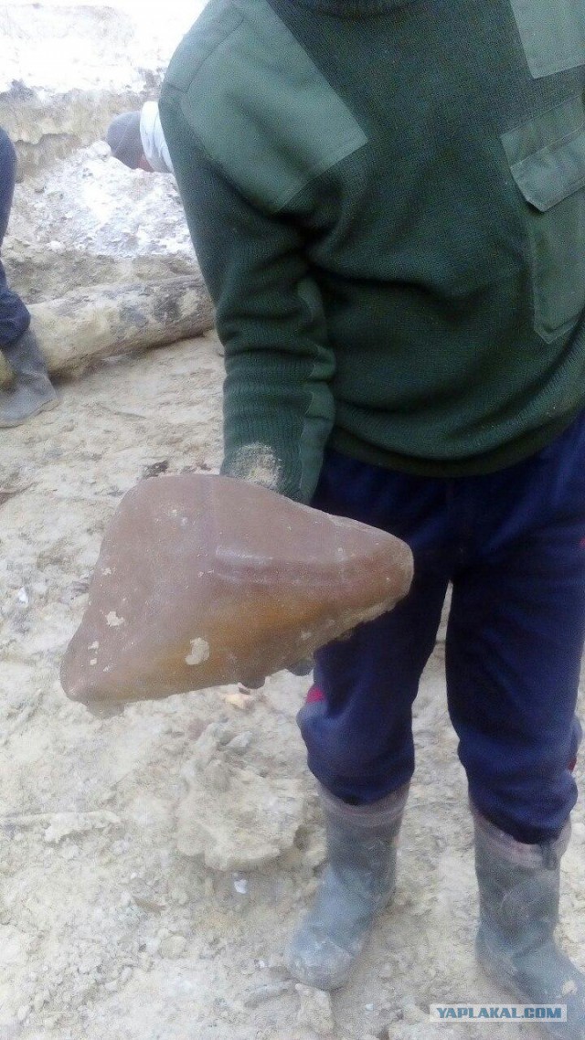 Копают все: на севере Украины продолжается янтарная лихорадка