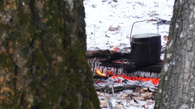 Одиночный поход с ночевкой, как вариант прощания с зимой