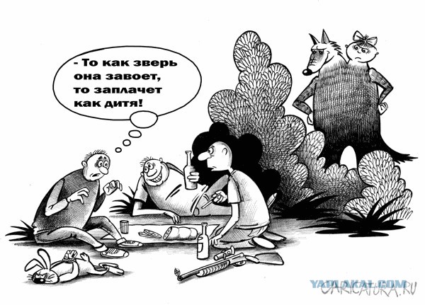 Юмор в картинках