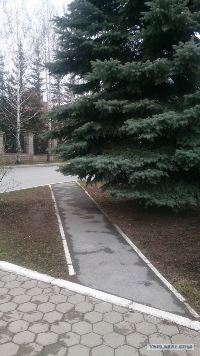 «Страна дебилов!»: возмущенная пенсионерка из Иркутска режет правду-матку