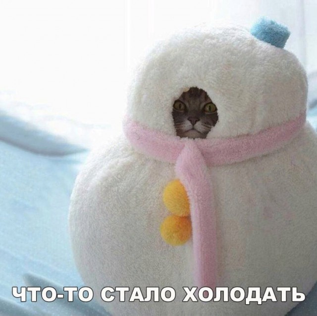 Всякая всячина