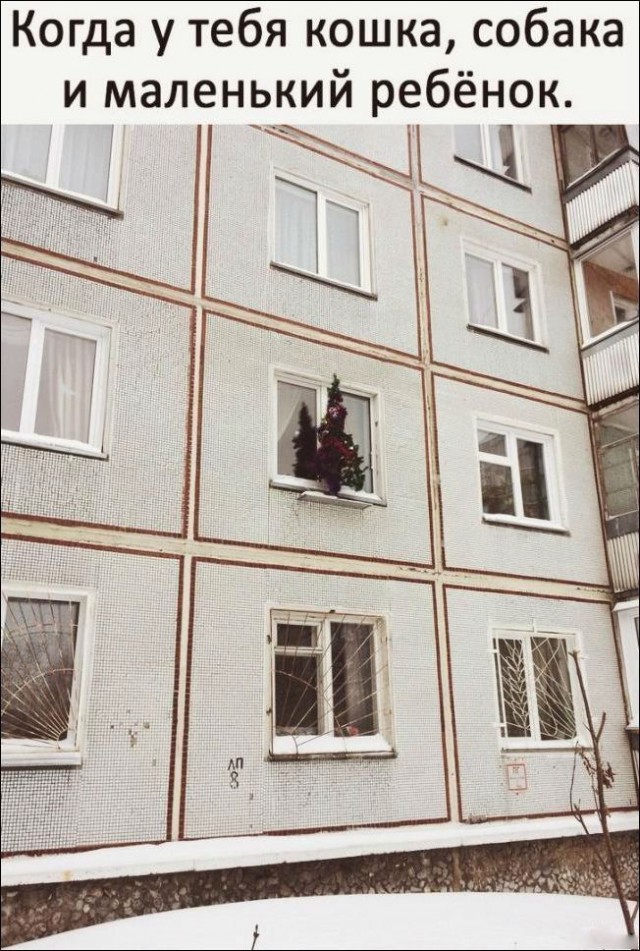 Просто картинки