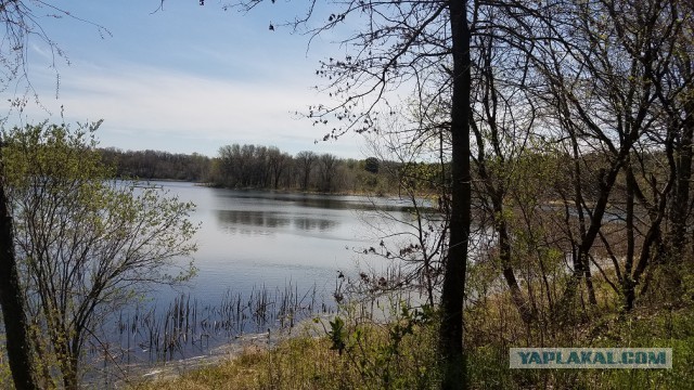 Просто Природа