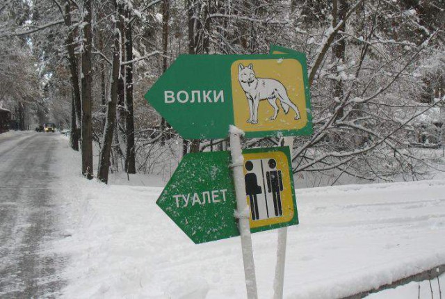 Подборка интересных и веселых картинок