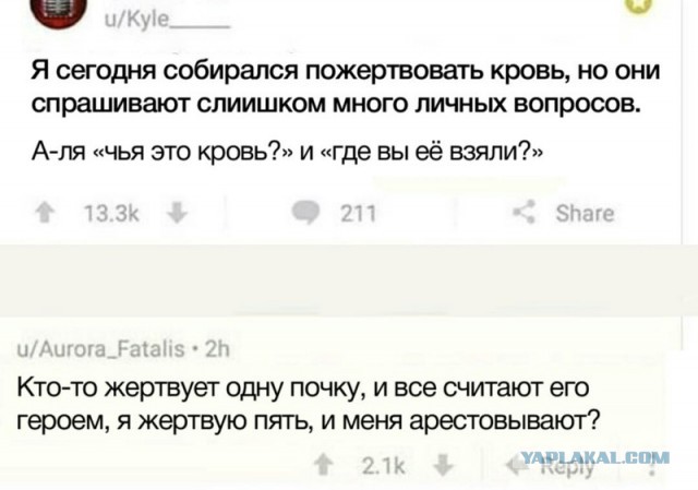 Смешные комментарии из социальных сетей