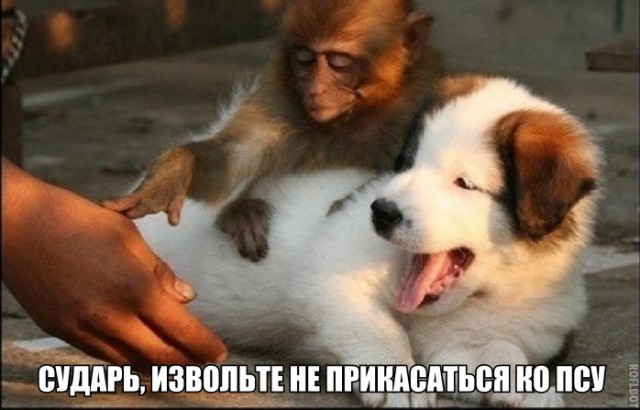 Дегенеративные картинки для умственноотсталых