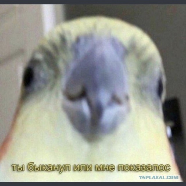 Если ты женат на б**ди!