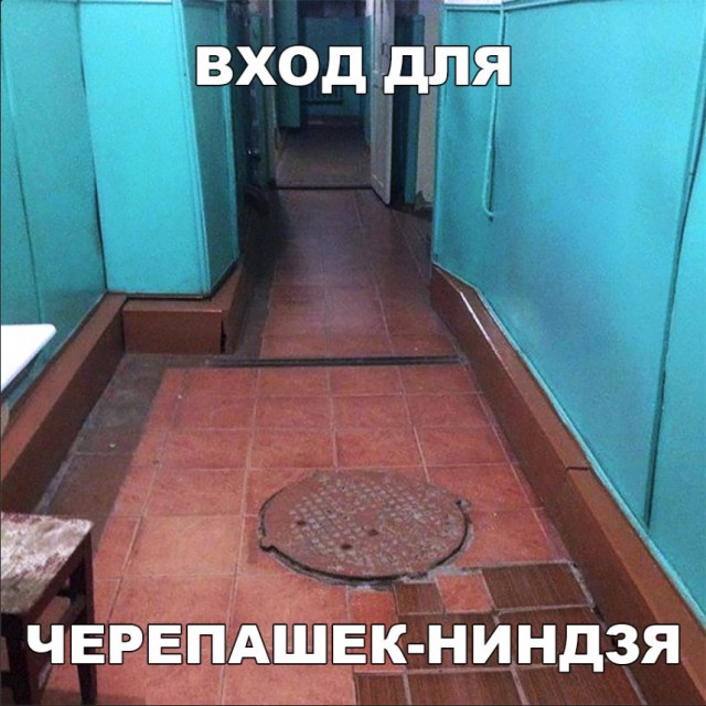 Нестандартный юмор
