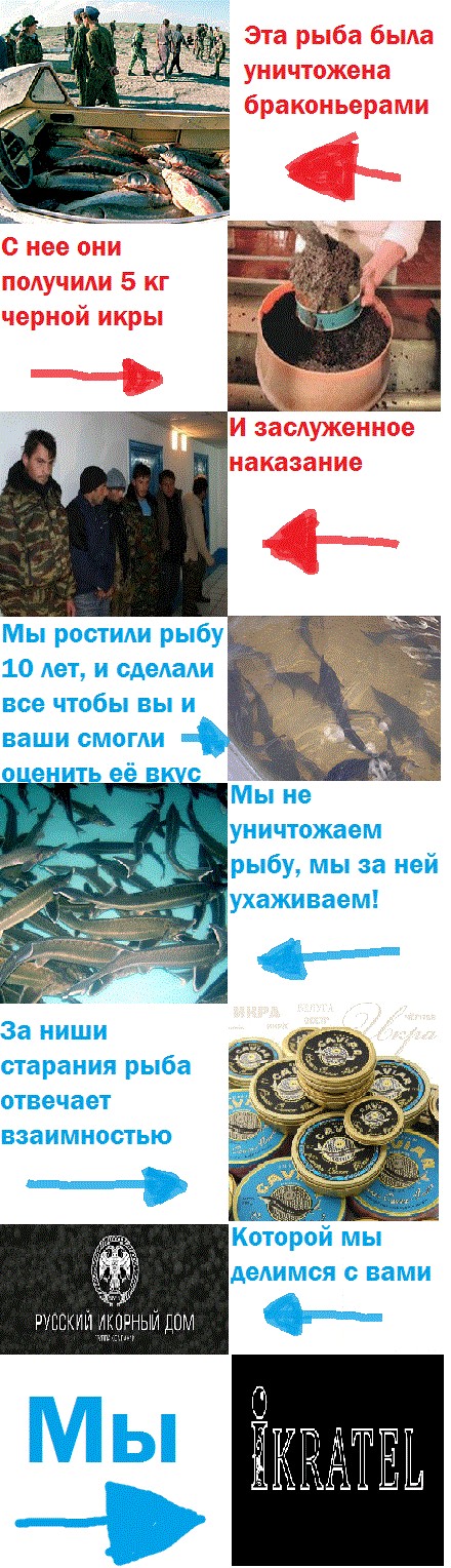 Конкурс на лучшую фотожабу против браконьеров.