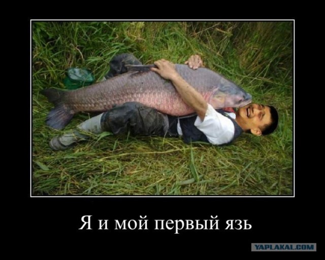 Тролли, разомните пальцы!