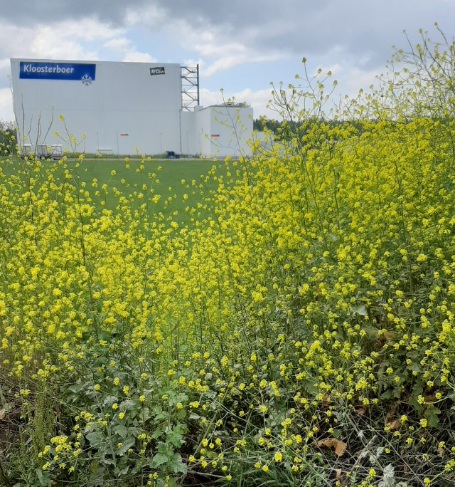 Покажем фотографию с рабочего места?