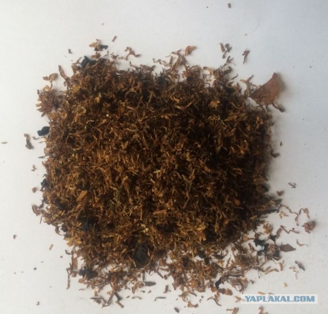 Пачка сигарет из натурального развесного табака стоит всего 36 рублей.