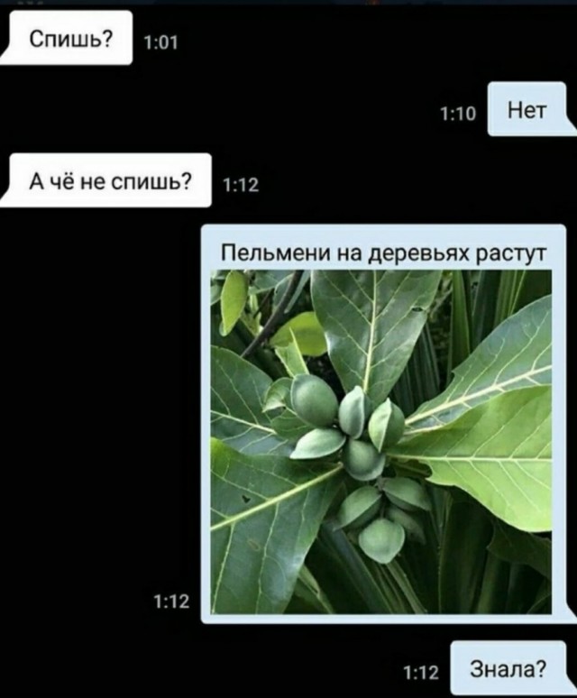 Юмор в картинках 7.10.20