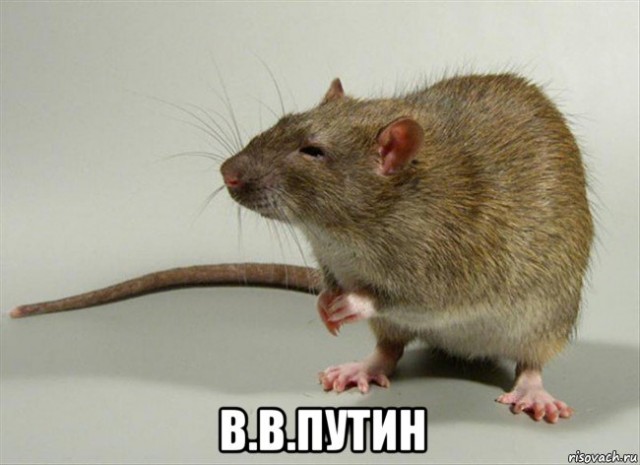 Полк ФСО выгуливает национального лидера по пустынному  Кремлю