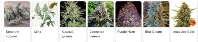 Сила Земли: Конопляные Батареи Лучше Лития И Графена в 8 раз