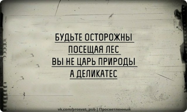 Пятница. И немного слегка пошлых картинок с надписями и без 16+ (02.10)