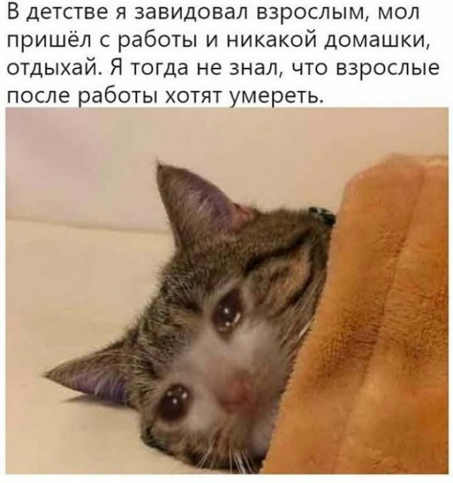 Немного картинок с надписями и без - 15.03.2021