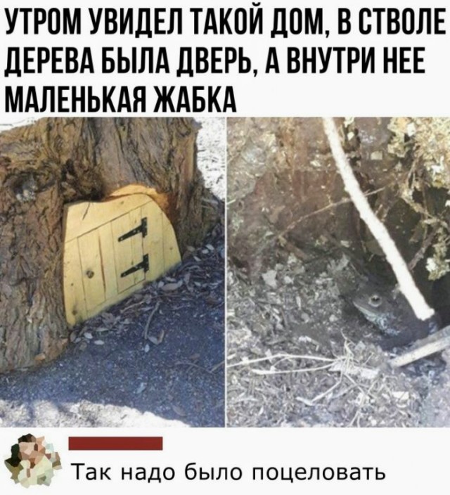 Картинки и мемы для настроения