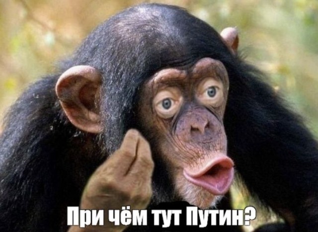 Укусил клещ