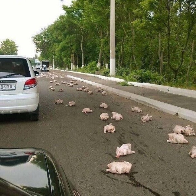 40 безумных фотографий, не имеющих художественной ценности, но притягивающих взгляд