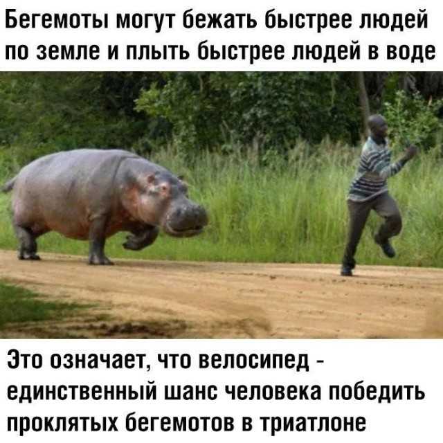 Так себе картинки 31.08.21